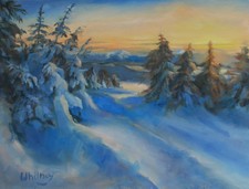 Pintura Paisagem Neve Montanha Evergreen Trees Sunset Óleo Original Su Whitney