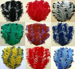 PASTIGLIE IN PIUMA D'OCA CURLY NAGORIE: 38 colori tra cui scegliere!!! Fasce/sposa - Foto 1 di 8