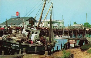 Cape May New Jersey Postcard Schellenger's Landing Fishing Boat Marina c1956  B3 - Picture 1 of 2