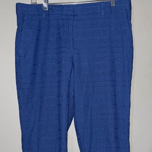 Ann Taylor Curvy Fit Blue Eyelet Floral Embroidered Trouser Hose - Bild 1 von 11