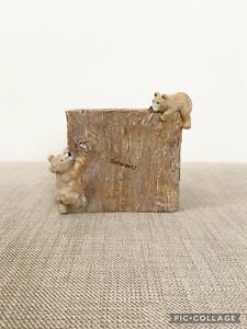 NEXT Barnaby The Bear Tissue Box Cover/Office Home Dinning Animal Ornament Gift