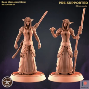 Elf Druid de My3dPrintForge Dnd, Dungeon and Dragon Mini, miniatura de mesa - Imagen 1 de 4