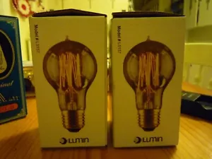 2 ADL Lumin 30W Watt Nostalgia Era Bulb Warm Amber Light Color Specialty Bulbs - Picture 1 of 6