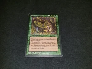 MTG 1x The Dark green rare MP Italian FBB Hidden Path - Reserved List - Picture 1 of 2