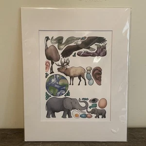 Cathy Rowe ABC Illustrazioni Lettera E Opaco - Foto 1 di 6