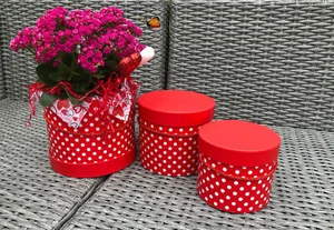 Premium Qualität runder Blumenkasten, Blumen Geschenkbox, 3er Set, mit Deckel - Bild 1 von 4