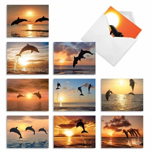 10 All Occasion Blank Cards Assortment - SUNSET DOLPHINS M6460OCB - Picture 1 of 6