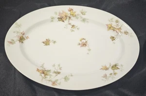 Haviland Limoges France Autumn Leaf 11 5/8" Oval Serving Platter No Trim Pattern - Picture 1 of 10