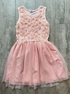 Girls 3D Mesh Tulle Rose Flower Pink Special Occasion Party Dress Birthday 10 - Picture 1 of 10