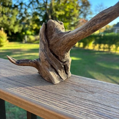 迷你树漂流木雕塑 12x3x6 – 天然硬木分支装饰形式 — 第 1/4 张图片