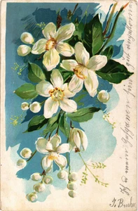 Old postcard vintage Switzerland 1908 flowers (1911) - Picture 1 of 2