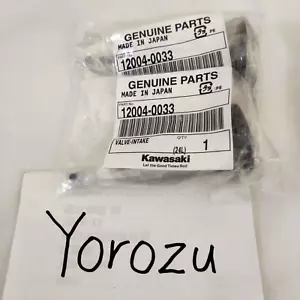 KAWASAKI Genuine KX250F Intake Valves 2Set 12004-0033 ×2 New Japan - Picture 1 of 2