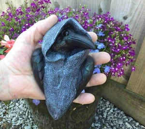 Hooded Crow Wall Hanging Plaque ~ Quirky Art Sculpture by Firky ~ Garden Stone - Picture 1 of 5