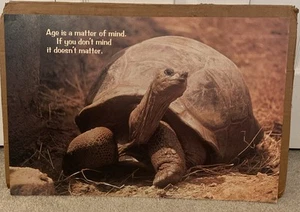Vintage Argus Growth Motivation Inspirational School Work Poster 21” X 14” 43108 - Picture 1 of 6