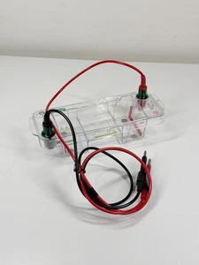 Bio-Rad Mini-Sub Cell GT Sistemi di Elettroforesi Orizzontali 150 Volt DC 10 Watt - Foto 1 di 6