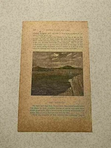 KP122) Héroe Vaquero Parada Estampida Rebaño de Ganado Viejo Oeste 1890 Grabado - Imagen 1 de 1