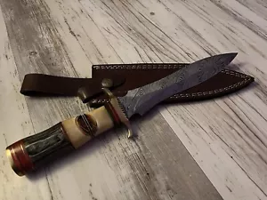Handmade Damascus Knife dagger With Brass Hilt Carved Handle And Dyed Wood - Picture 1 of 6