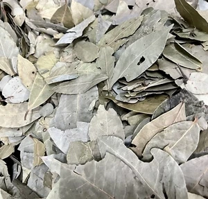 Te hojas de Laurel 4 oz tè all'alloro naturale - Foto 1 di 2
