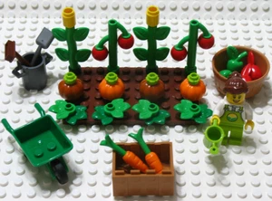 LEGO Vegetable Garden Corn Tomatoes Lettuce Carrots Pumpkins Apples w/ Female - Picture 1 of 7