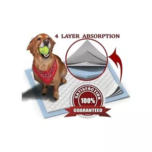 Dog Training Pads Extra Large (XL) 30-Pack by Parachute Pet Products - Picture 1 of 15