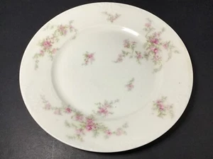 Theodore Haviland Limoges France Dinner Plate Pink Flowers Asters Schleiger 151 - Picture 1 of 5