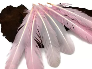 1/4 Lb. Light Pink Turkey Tom Rounds Secondary Wing Quill Wholesale Feathers - Picture 1 of 10
