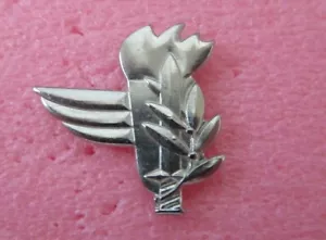 Israel Army Military IDF Pin - Picture 1 of 1