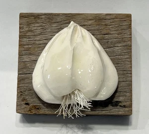 Signierte Carol Cline 21/2" x 23/4" Keramik Knoblauch Skulptur auf Scheune Holz - Bild 1 von 3