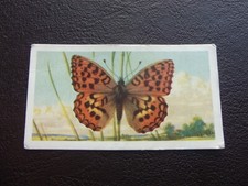 British butterflies cards #11,13,14,15,17,18  choose card/s
