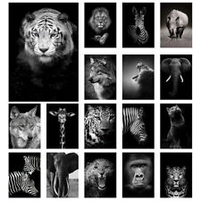 Black and White Animals Art Prints Poster Abstract Picture Room Wall Home Decor
