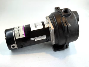 Wayne WLS150 1.5 HP High Volume Cast Iron Lawn Sprinkling Pump - Picture 1 of 11