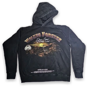 Darc Sport Wolves Forever Hoodie Black Medium 2022 Wolves Club - Picture 1 of 11