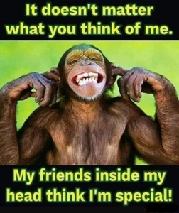 Funny Chimpanzee refrigerator magnet 3 1/2x 4 1/2" - Picture 1 of 1