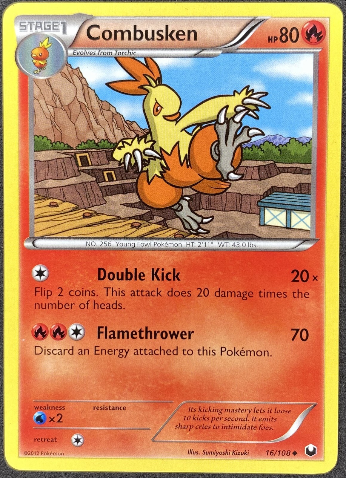 Pokémon Combusken 16/108 DEX Dark Explorers LP/NM