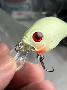 Schau dir die roten Augen in diesem Köder an, es ist ein heißer Köder  - Bild 1 von 4