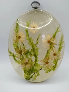 Lucite Real Daisy Window Hanger Mid Century Natural Farm House Decoration - Picture 1 of 6