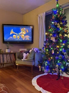 panasonic tc-p50x1 Tv - Picture 1 of 6