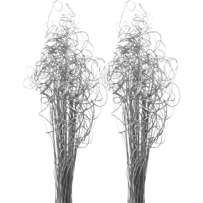 75 tallos de ramas de ting rizado de plata brillante - relleno de jarrón deslumbrante Foto 1 de 4