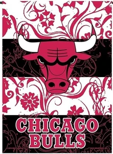 Chicago Bulls Premium Double Sided Garden Flag Banner, 13x18 Inch, Display... - Picture 1 of 1