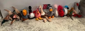 Ty Beanie Babies Bird Bear Lot of 12 (All Have Tags) - Picture 1 of 3