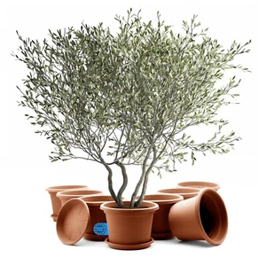 8 Stück Blumentopf mit Untersetzer Pflanzkübel rund ø 40cm Terracotta Made in EU - Bild 1 von 7