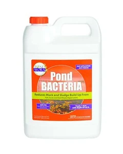 Large Pond/Lake Safe Water Treatment Reduces Muck/Dead Leaves/Odors 4-5 ft 1 Gal - Picture 1 of 4