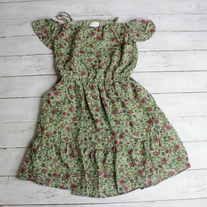 Place Girl's Dress Size 10 12 Chiffon Green PInk Floral - Picture 1 of 7