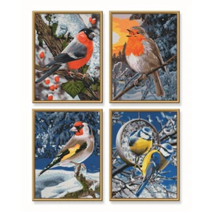 Wintervögel Malen nach Zahlen Schipper Quattro je 18 x 24 cm Tiermotiv Vögel - Bild 1 von 3