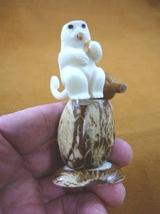 (TNE-APE-MO-175A) Monkey + bananas TAGUA NUT nuts figurine zoo monkeys - Picture 1 of 2