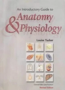 An Introductory Guide to Anatomy and Physiology By Louise Tucker - Foto 1 di 1