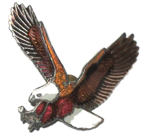 EAGLE IN FLIGHT PINBACK COLORFUL - Picture 1 of 2