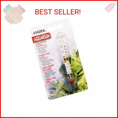 Deluxe Floating Thermometer with Suction Cup - Image 1 of 2