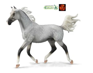 Halbaraber Araber Hengst Dappled Grey Horse Deluxe Toy Model by CollectA 88959 - Bild 1 von 1