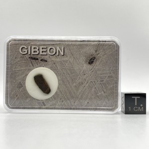 GIBEON - IRON METEORITE - IRON-IVA - Found In Namibia 1836